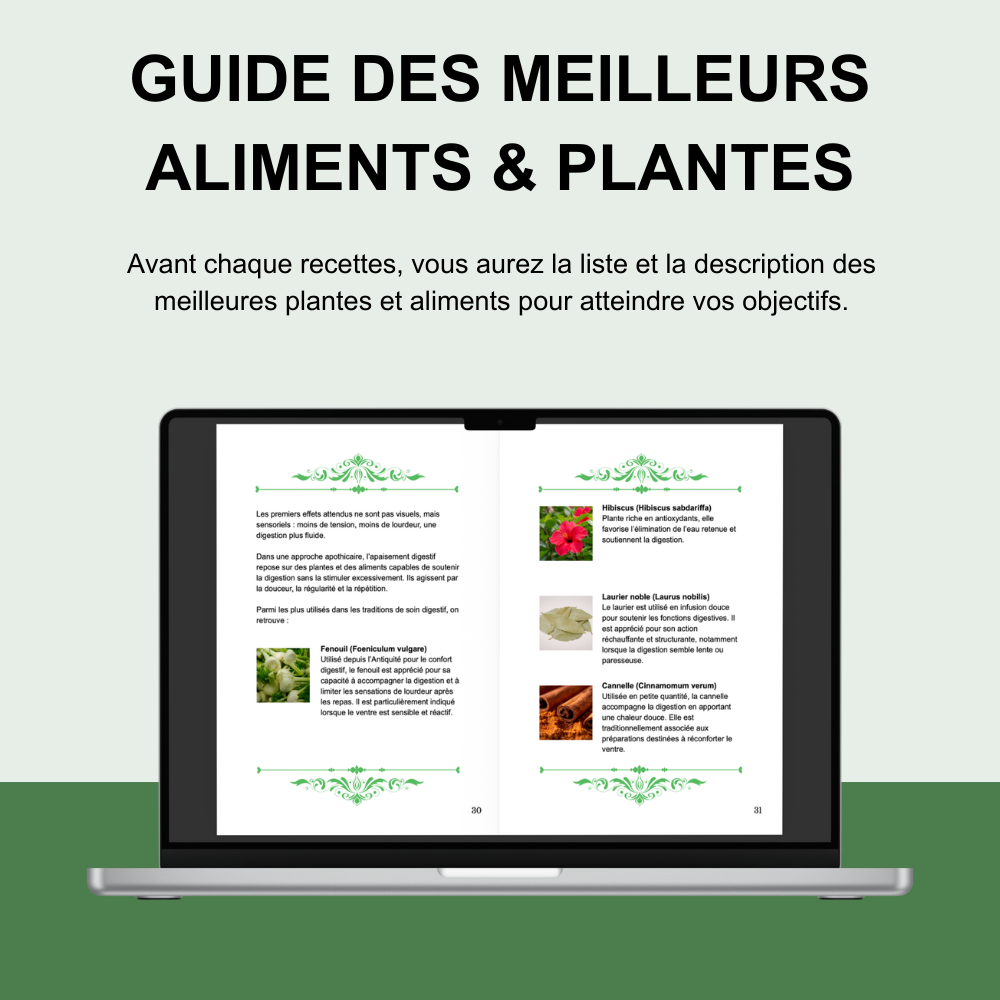 Pack Programmes De 45 Jours