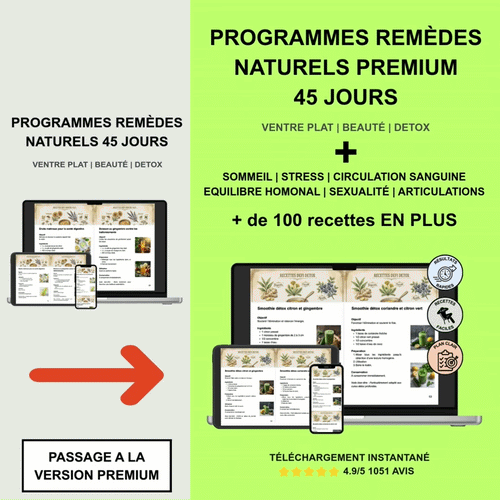 45-Tage-Programm – PREMIUM-Version